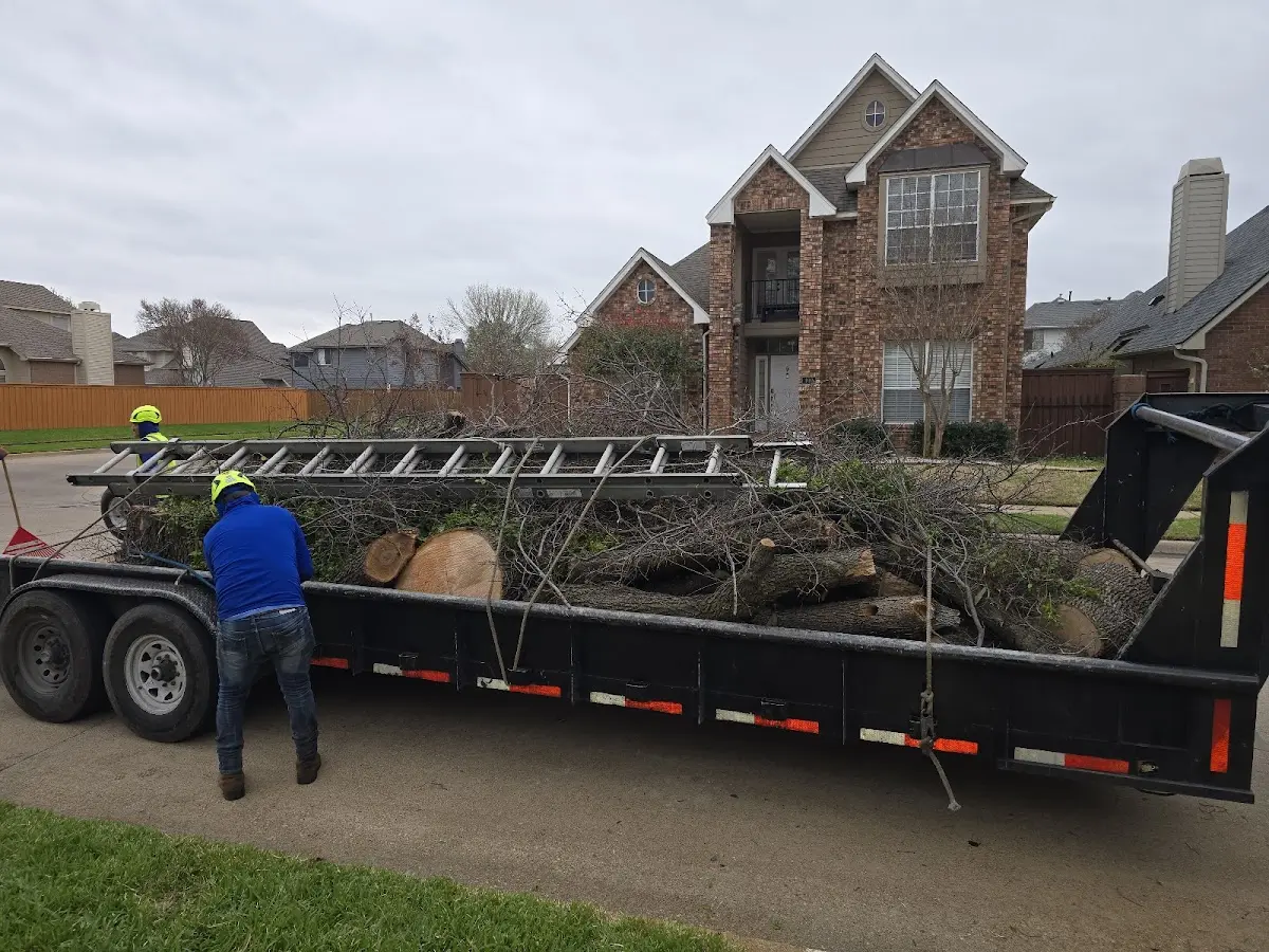 Expert Tree Fertilization with proper safety equipment in Kenton